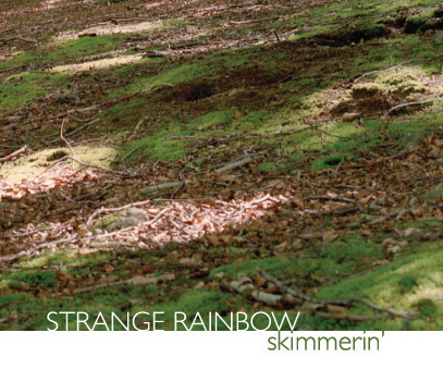 strange rainbow skimmerin.png